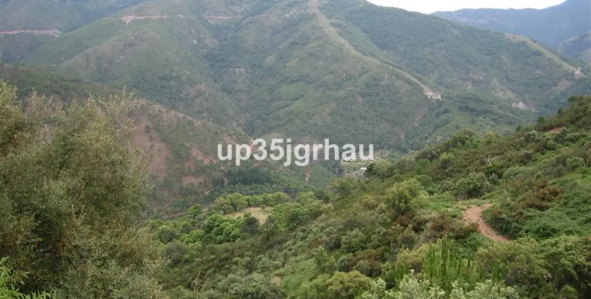 Продажа финки в Jubrique 12