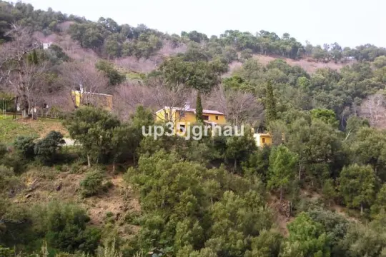 Image 9 thumb