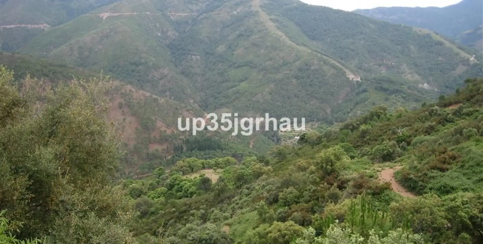 Sale of finca - cortijo in Jubrique 12