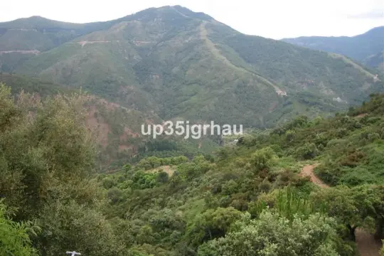 Image 12 thumb
