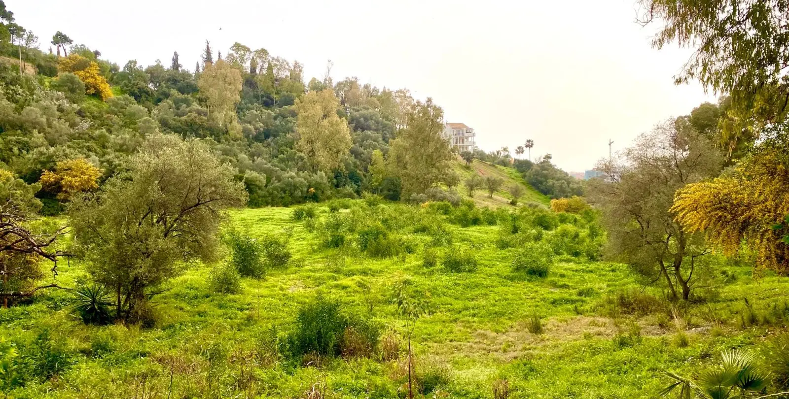Sale of residential plot in Benahavís 1
