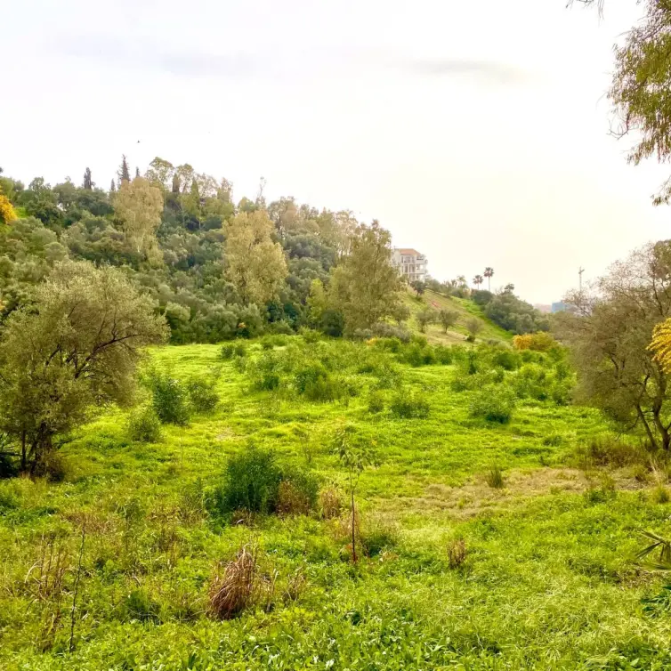 Sale of residential plot in Benahavís