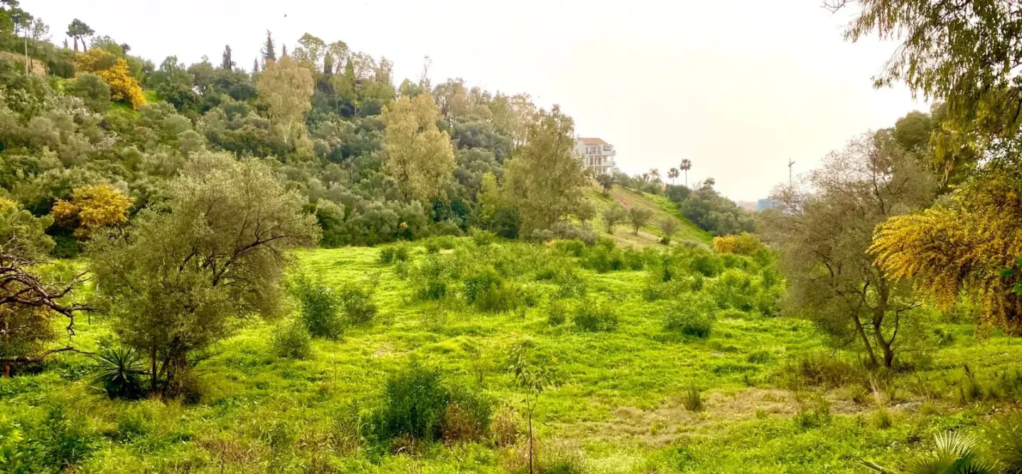 Sale of residential plot in Benahavís 0