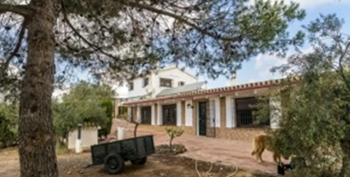 Продажа финки в Malaga (район Provincia de Málaga) 1