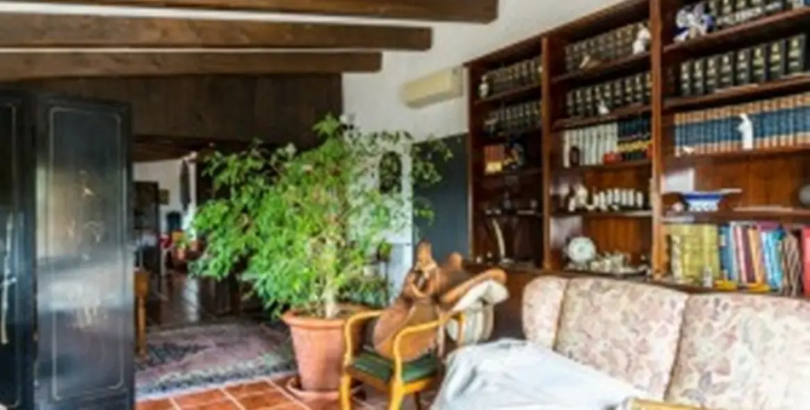 Продажа финки в Malaga (район Provincia de Málaga) 9