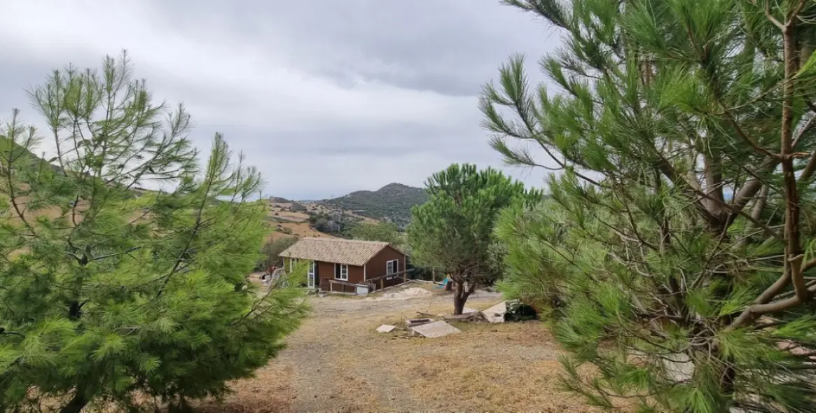 Venta de finca - cortijo en Casares 11