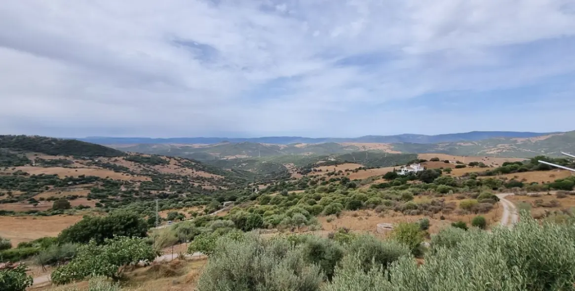 Venta de finca - cortijo en Casares 14