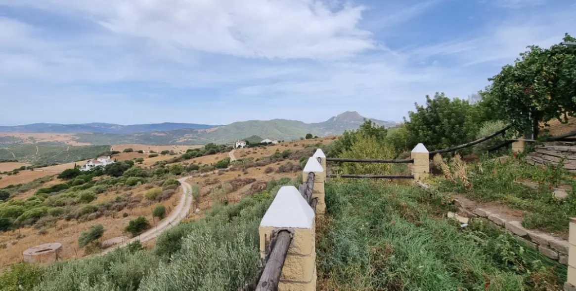 Venta de finca - cortijo en Casares 16