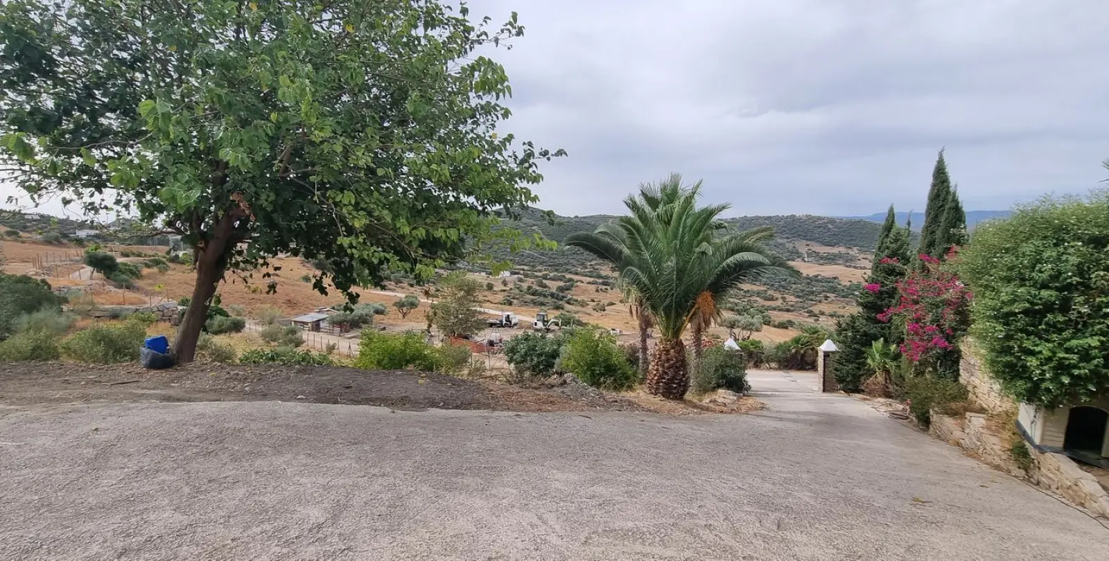 Sale of finca - cortijo in Casares 5
