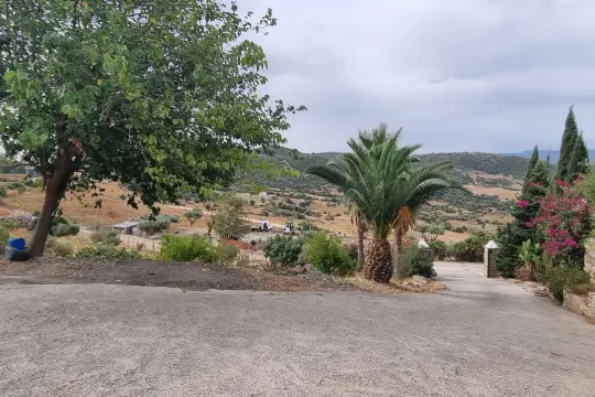 Image 5 thumb
