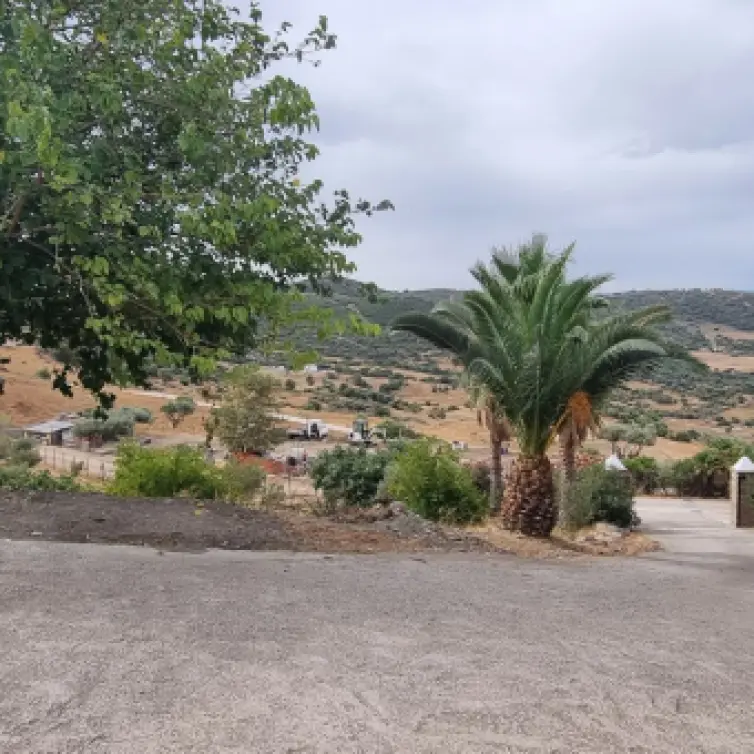 Sale of finca - cortijo in Casares