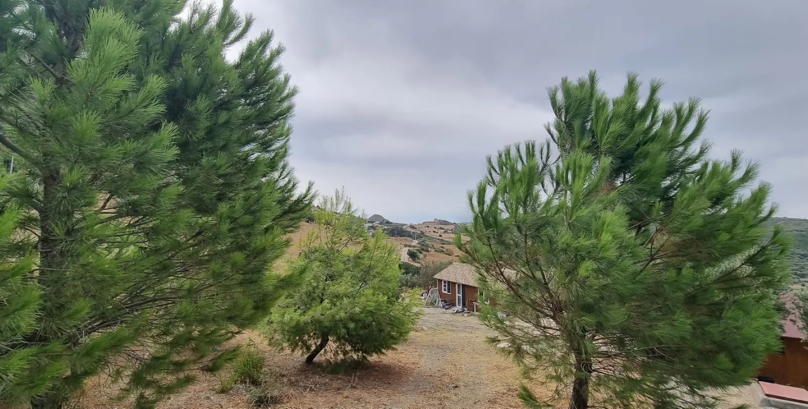 Sale of finca - cortijo in Casares 10