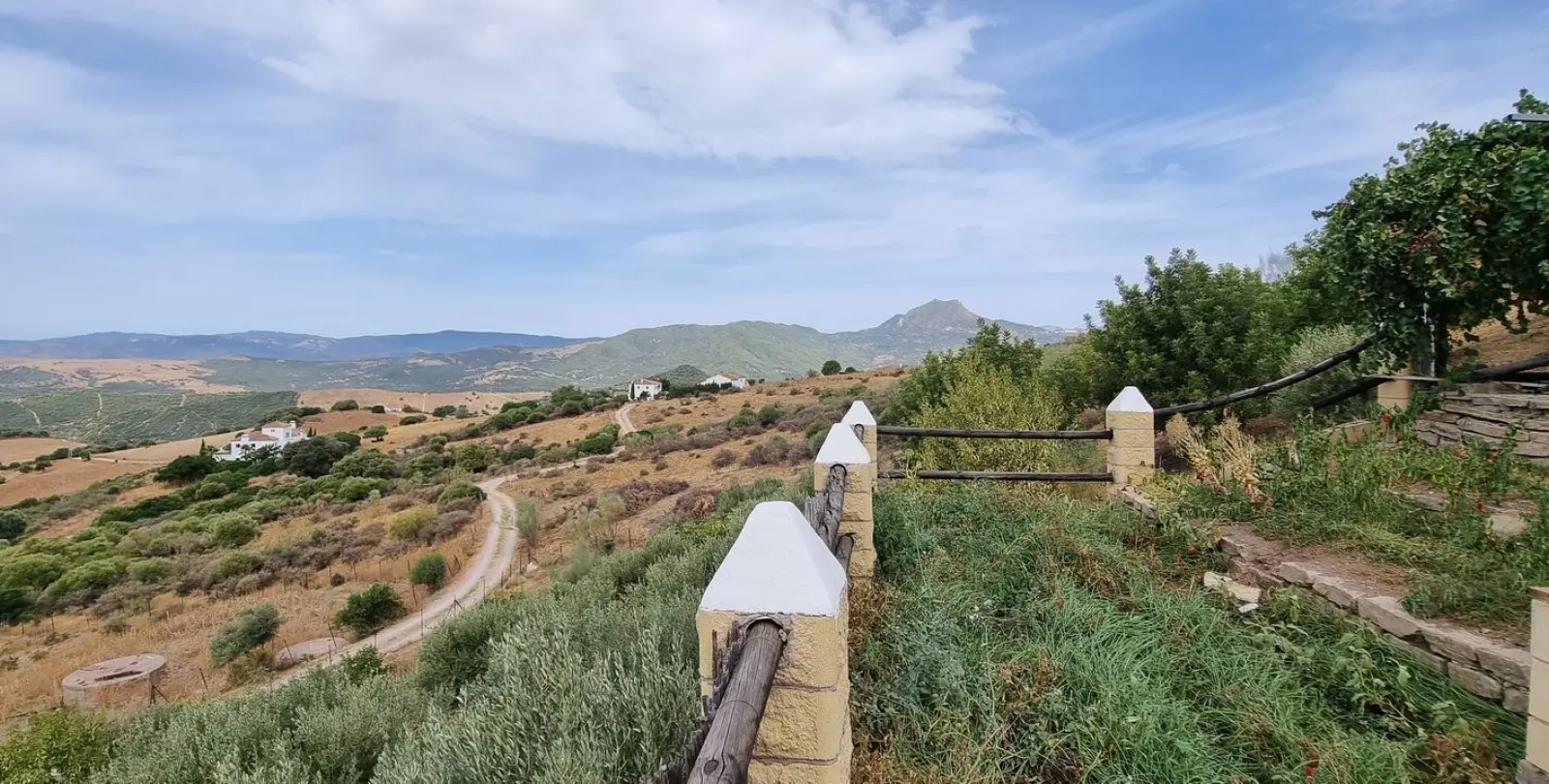 Sale of finca - cortijo in Casares 16