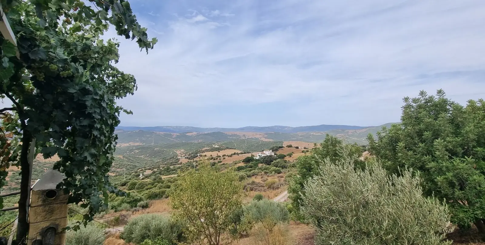 Sale of finca - cortijo in Casares 17