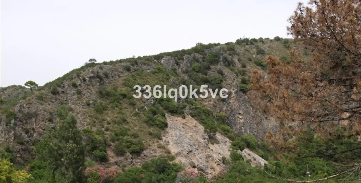 Sale of commercial plot in Benahavís 1