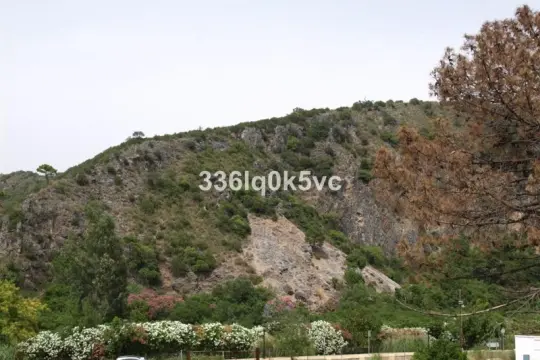 Image 1 thumb