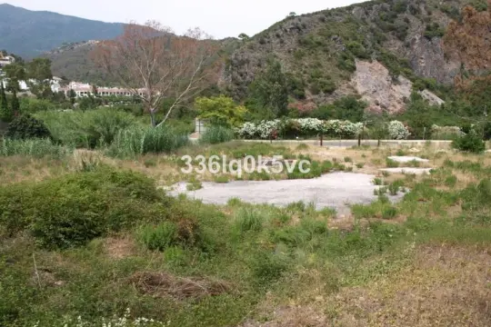 Image 4 thumb