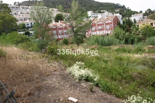 Image 5 thumb