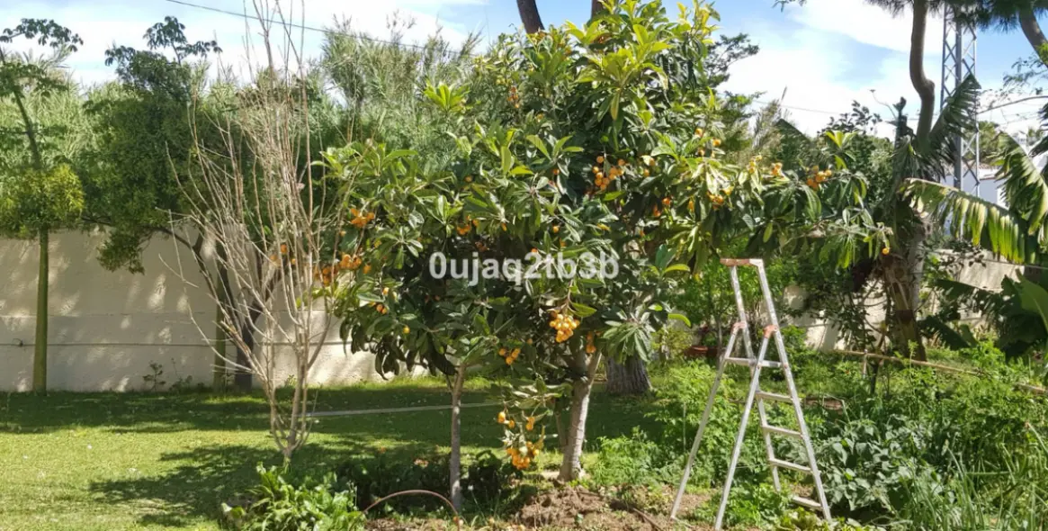 Продажа  отдельно стоящей виллы в New Golden Mile 22