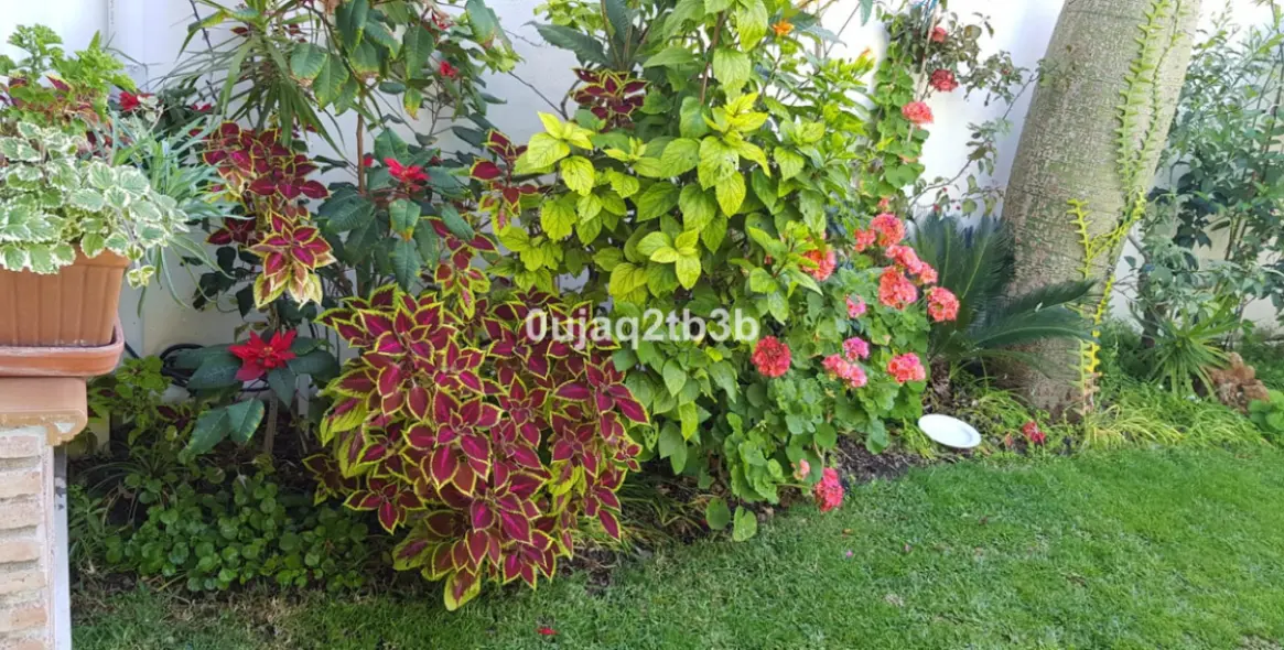 Продажа  отдельно стоящей виллы в New Golden Mile 24