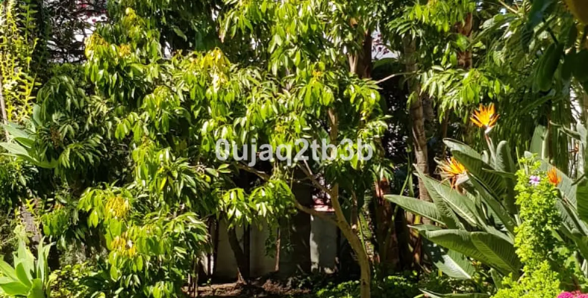 Продажа  отдельно стоящей виллы в New Golden Mile 28