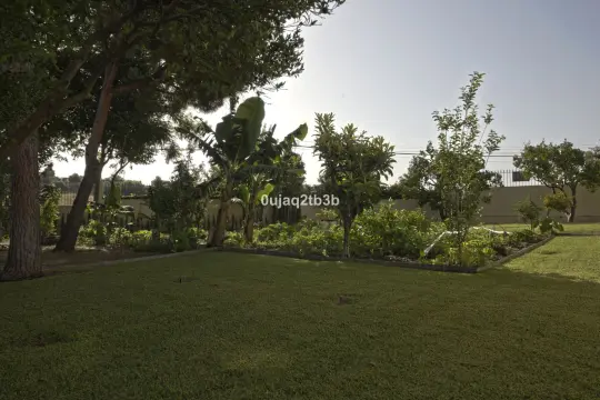 Image 8 thumb