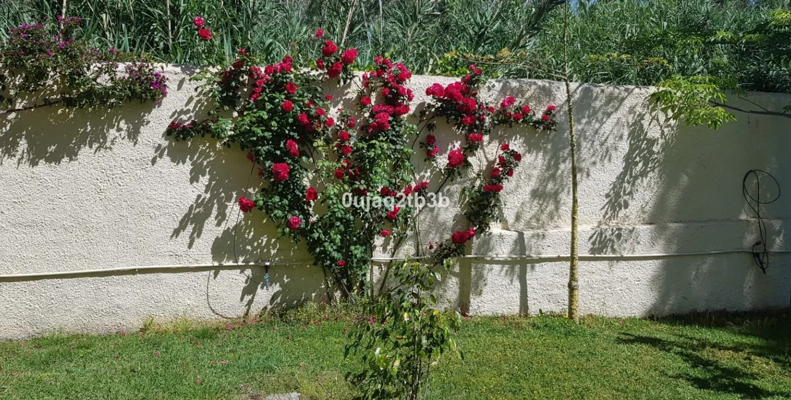 Venta de villa independiente en New Golden Mile 19