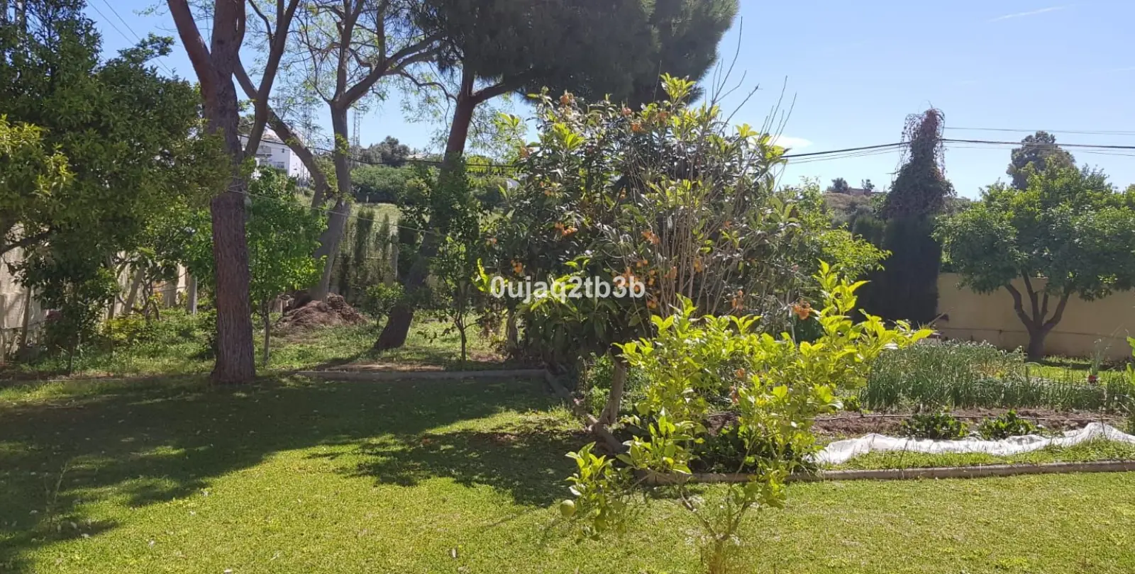 Venta de villa independiente en New Golden Mile 23