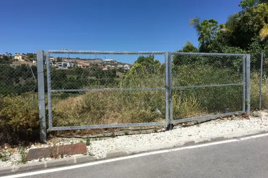 Image 4 thumb