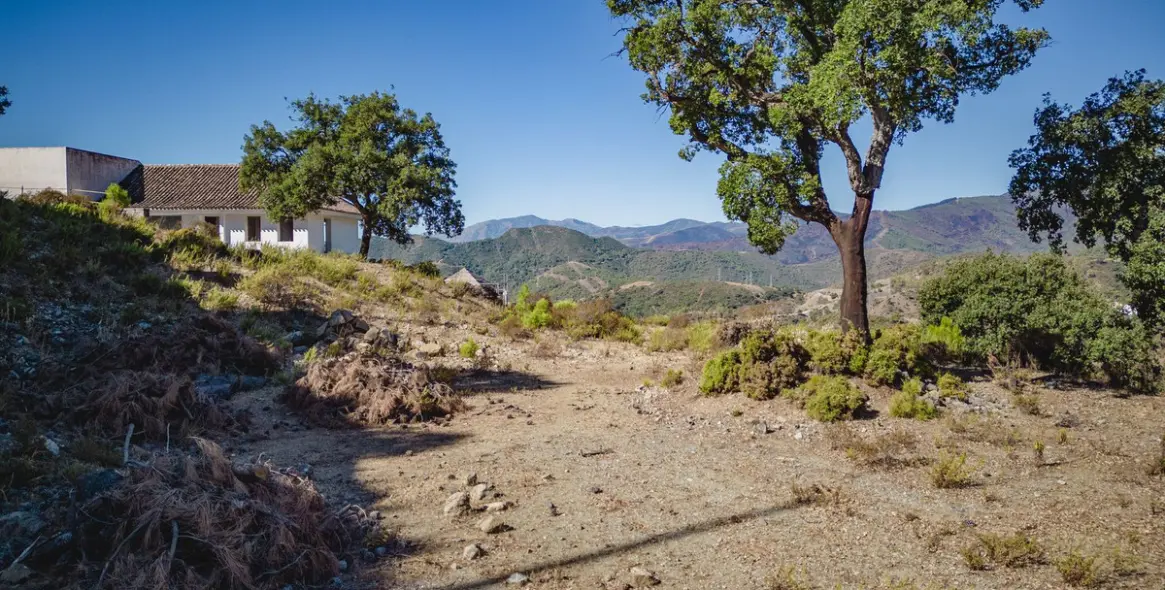 Sale of residential plot in La Zagaleta 6