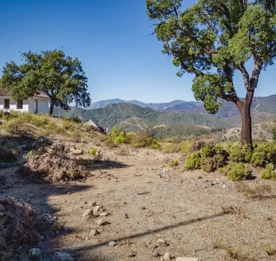 Sale of residential plot in La Zagaleta