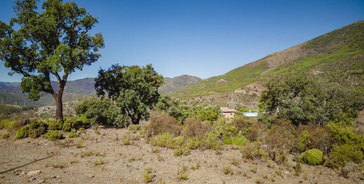 Sale of residential plot in La Zagaleta 9