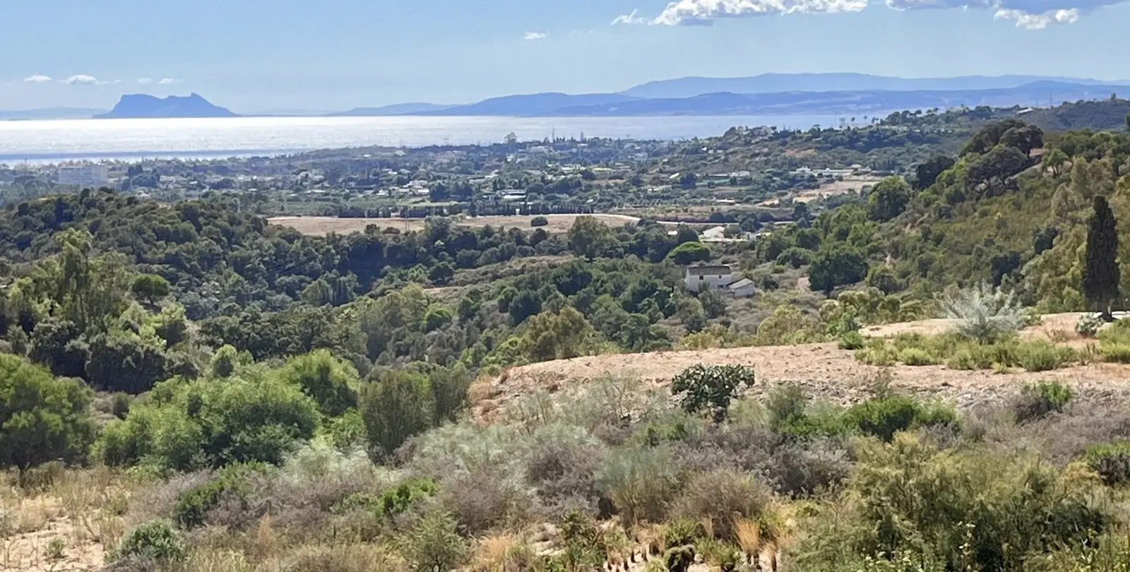 Sale of residential plot in New Golden Mile 1