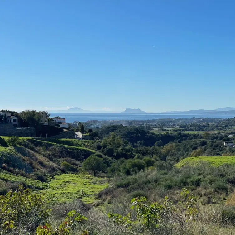 Sale of residential plot in New Golden Mile