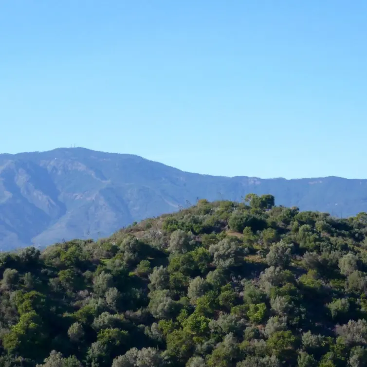 Sale of residential plot in New Golden Mile