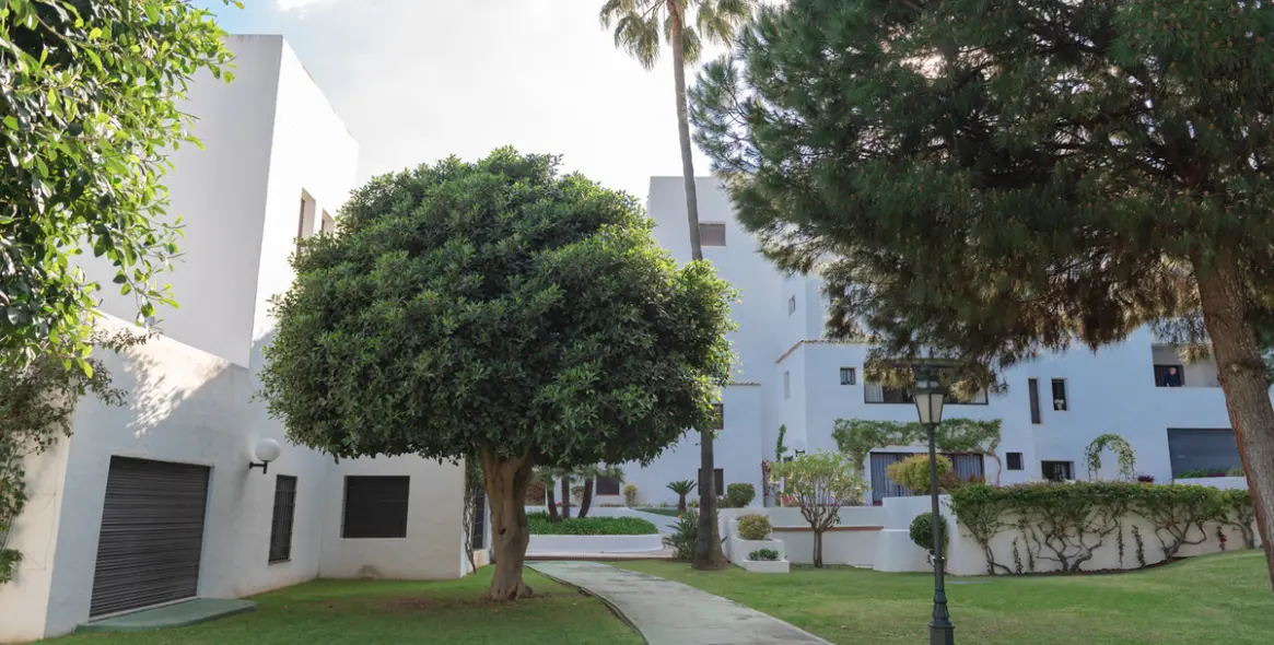 Sale of middle floor apartment in Puerto Banús 3