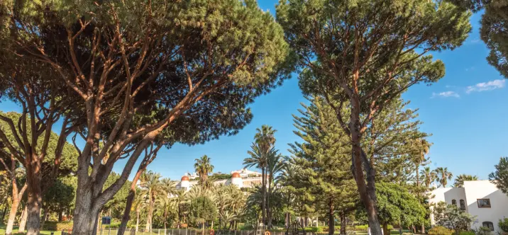 Venta de apartamento en planta media en Puerto Banús 4