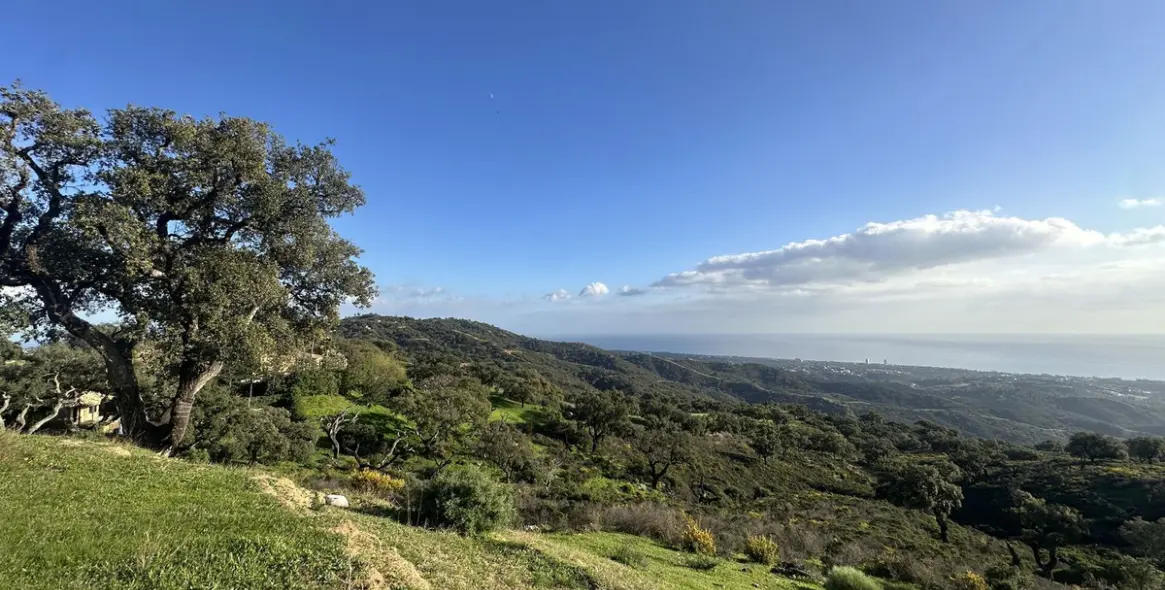 Продажа  жилого участка в La Mairena 1