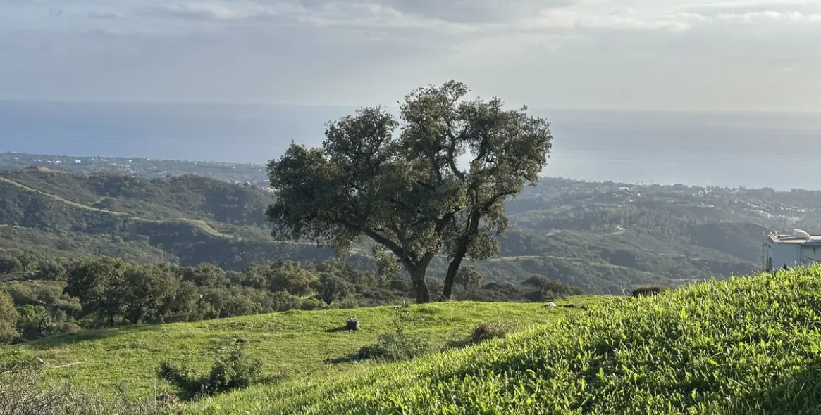 Продажа  жилого участка в La Mairena 2