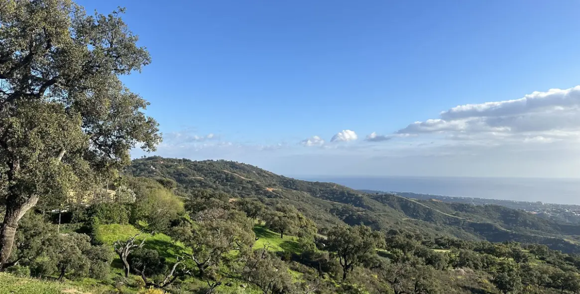 Продажа  жилого участка в La Mairena 3