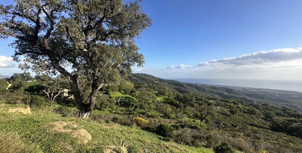 Продажа  жилого участка в La Mairena 14