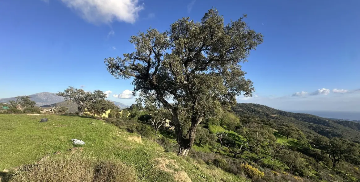 Продажа  жилого участка в La Mairena 15