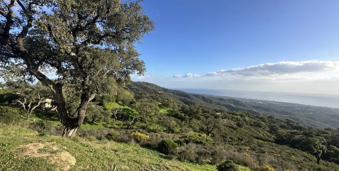 Продажа  жилого участка в La Mairena 16