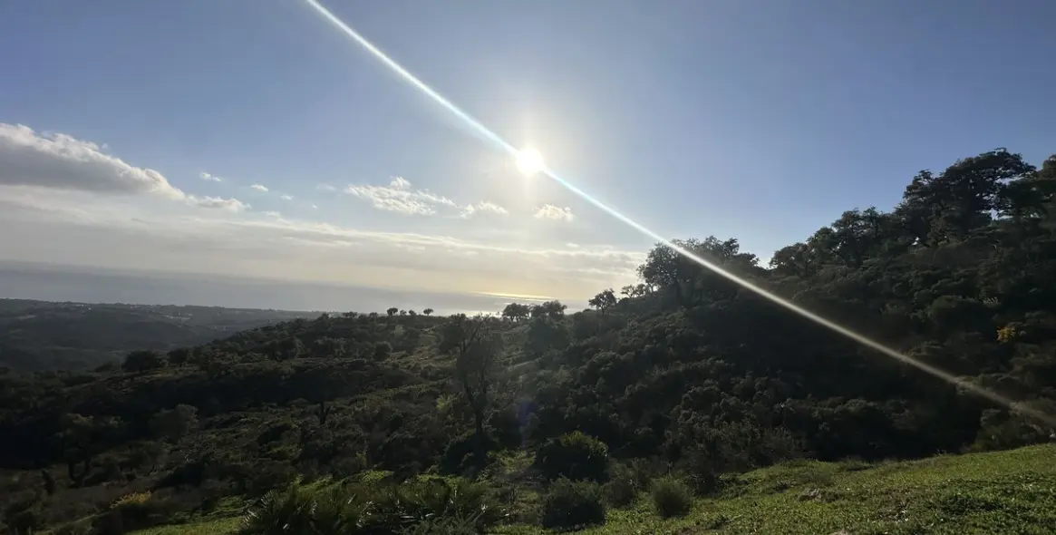 Sale of residential plot in La Mairena 5