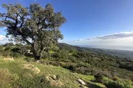 Image 14 thumb