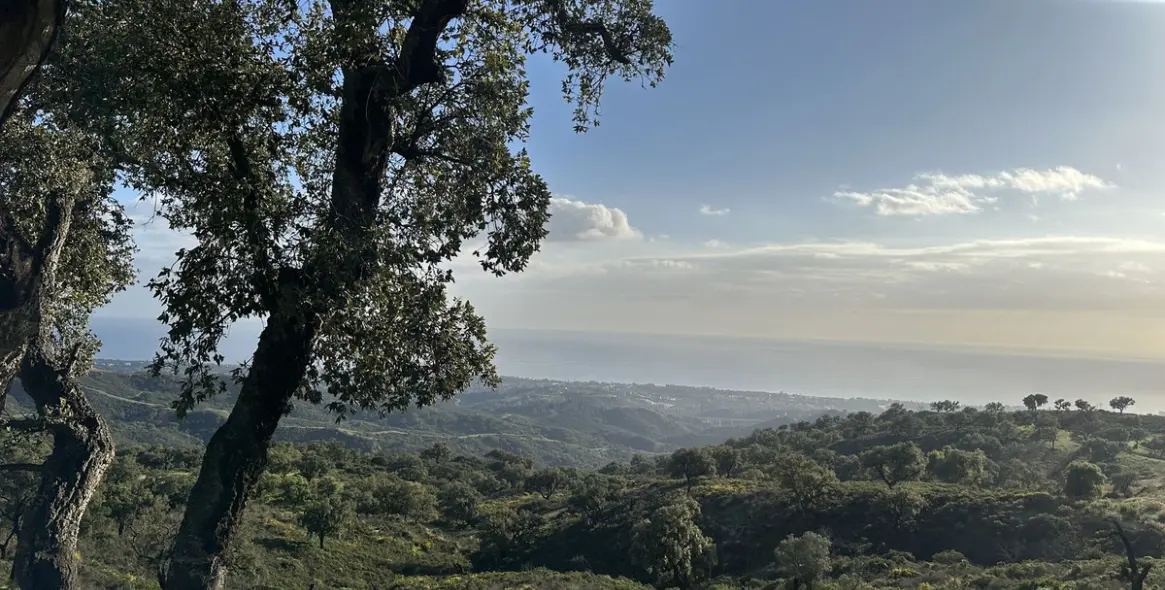 Sale of residential plot in La Mairena 19