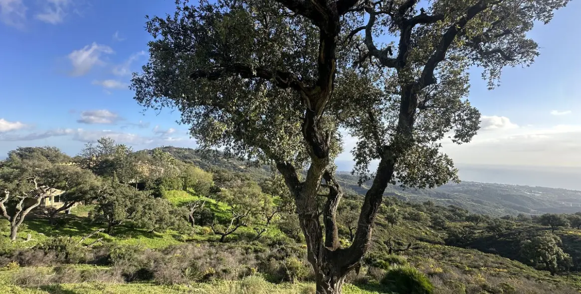 Sale of residential plot in La Mairena 21
