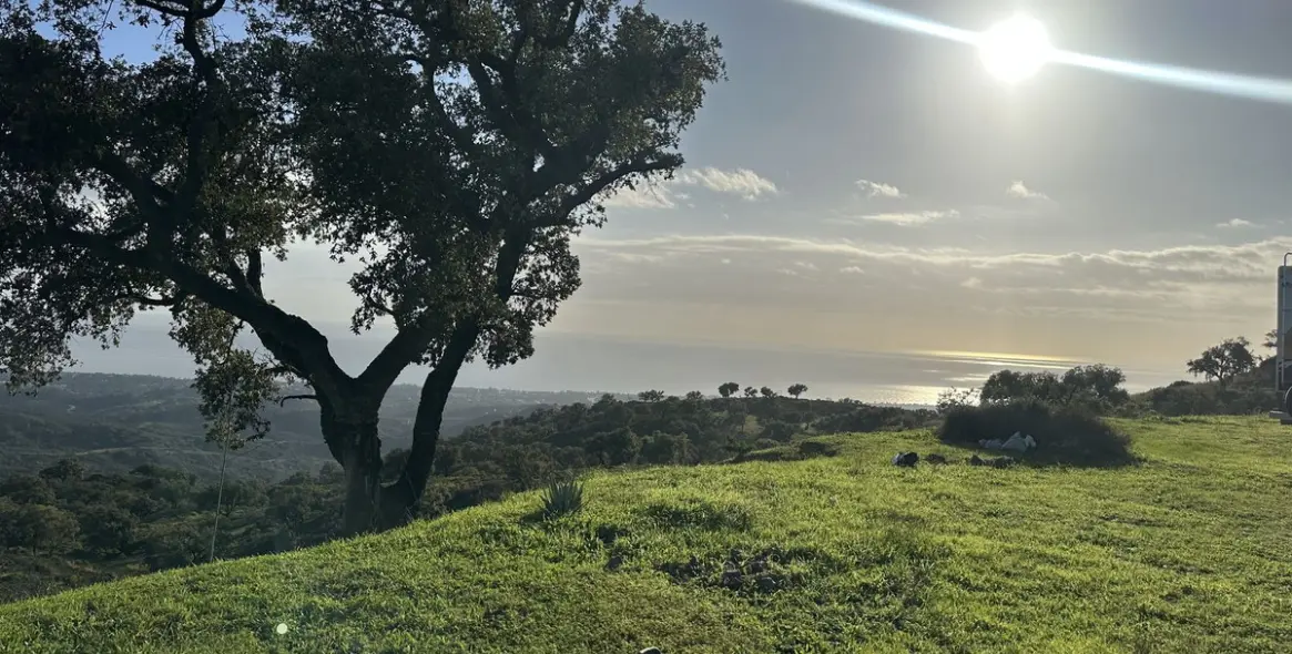 Sale of residential plot in La Mairena 23