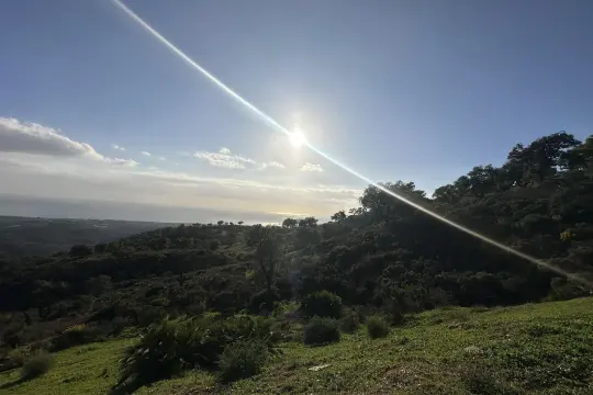 Image 5 thumb