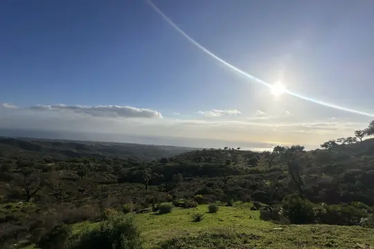 Image 18 thumb